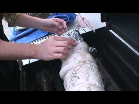 download lagu mp3 mp4 Broil King Registration, download lagu Broil King Registration gratis, unduh video klip Broil King Registration