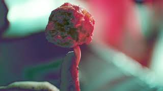 Fever Ray - This Country (Official Audio)