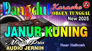 Download lagu Janur Kuning - Karaoke Nada Pria (Noer Halimah) Dangdut Orgen Tunggal - Audio Jernih mp3