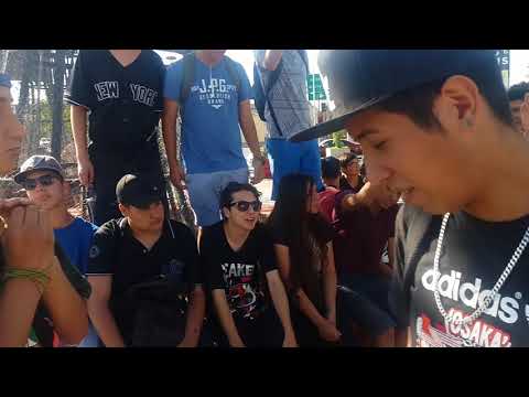 BUKA VS SATIR / 8VOS / TUTIFRUTI / METAMORBOSIS