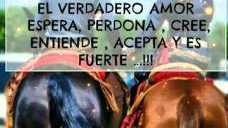 Grupo exterminador - ven