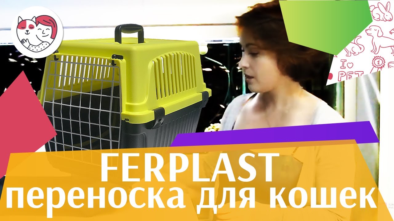 Кошачья переноска Ferplast на ilikepet