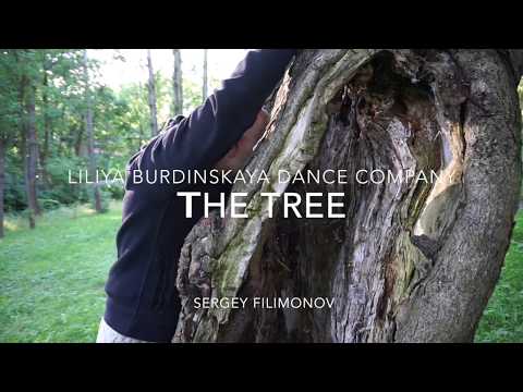 the tree Liliya Burdinskaya dance company