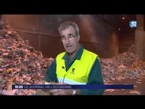 portrait de la papeterie UPM Chapelle Darblay