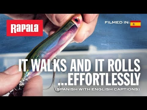 Миниатюра изображения товара Воблер Rapala MaxRap Walk’n Roll / MXRWR13-FAYU