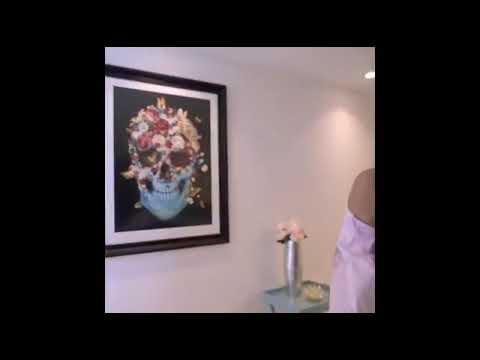 Modo avion Luisa fernanda W ft la segura