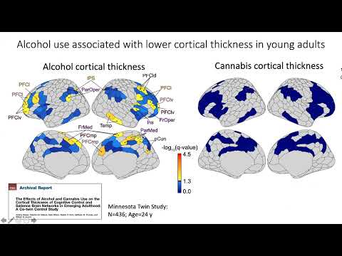 Valerie Voon - Addictions: a brain network disorder
