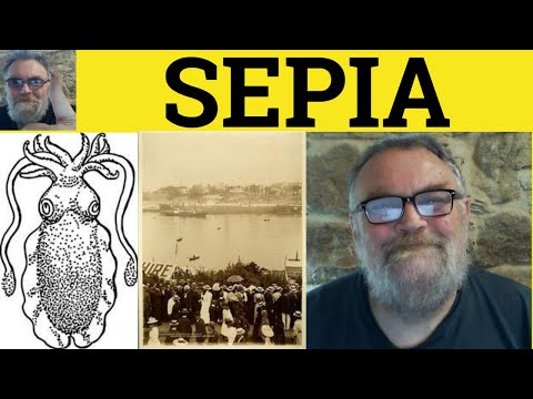 🔵 Sepia Meaning - Sepia Examples - Sepia Definition - Colours - Sepia