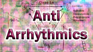 Anti-Arrhythmics - Physiology and Pharmacology (Full)