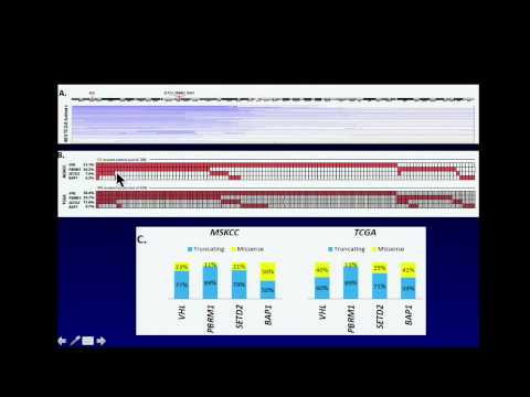 TCGA: Adverse Outcomes in Clear Cell Renal Cell Carcinoma With Mutations - Ari Hakimi