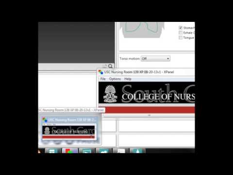 SimBaby LLEAP Software Tutorial