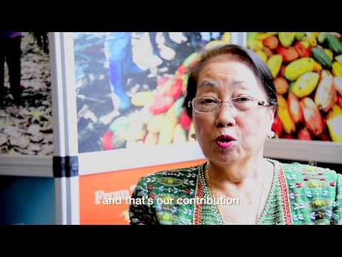 From tree to chocolate