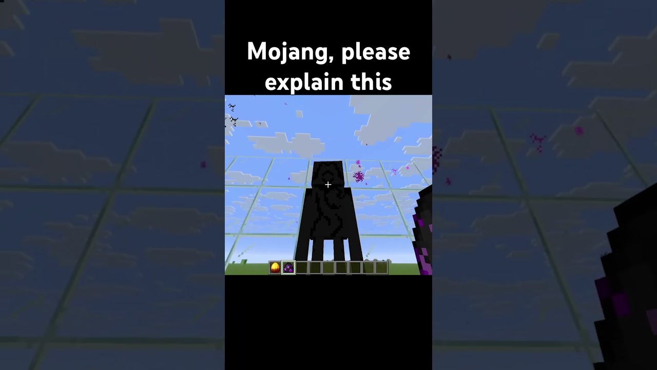 Mojang, explain this…