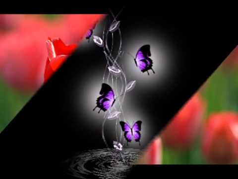 Olympic....Snad jsem to zavil já