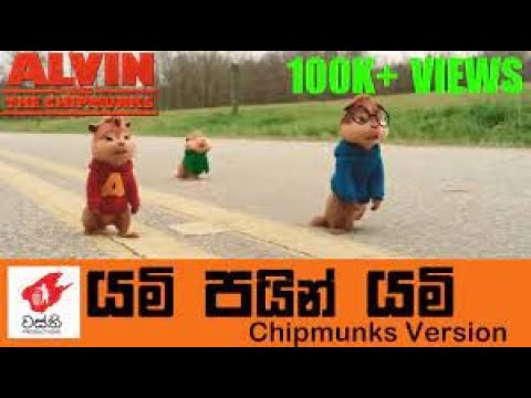 Nai Naine nai naine nai nai na na i nai (wasthi) chipmunk version