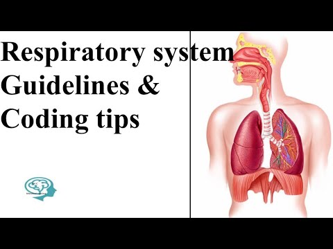 MEDICAL CODING - @2023 ...CPT CODING  RESPIRATORY SYSTEM TIPS .PART: 1