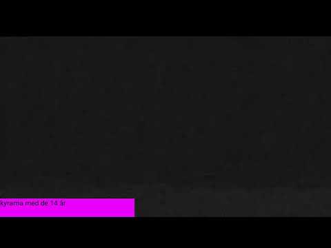 bornholm rønne havn 2025