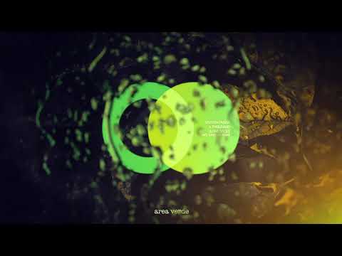 Shayan Pasha - One thousand & One faces (Bardeeya Remix)  [AREA VERDE]
