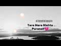 Tera Mera Rishta Slowed Reverb Mustafa Zahid Zamina