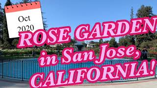 ROSE GARDEN in San Jose, CA [2020]