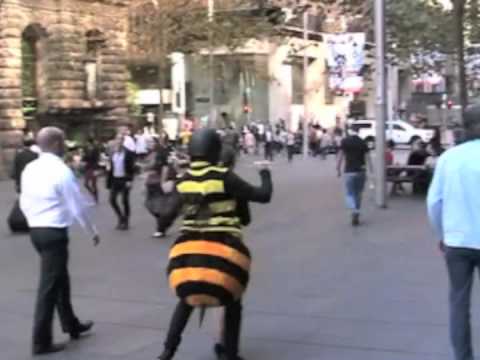 The Buzz on Bee Insurance | Golden Age