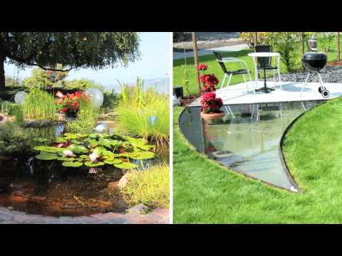 SwissBioPool YouTube-Vdeominiatur 6