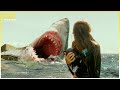 Great White Terror | The Shallows | Creature Features