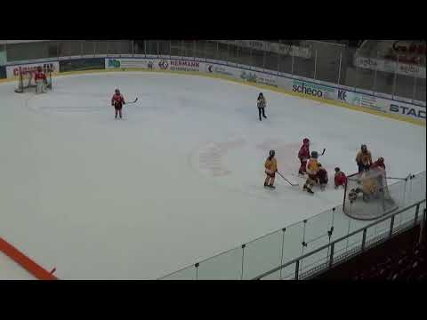 EHC Winterthur Nachwuchs Live Stream