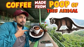 TRYING MOST EXPENSIVE COFEE IN THE WORLD | HOW COFFEE IS MADE | EP-11🇻🇳
