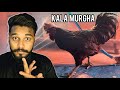 Fahad Bhai Kay Karnamy 2 | kala Murgha | Syed ibad | The Fun Fin | life Series | Vlog