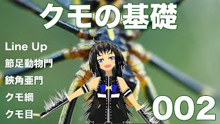 No.002 クモの基本的な話をします