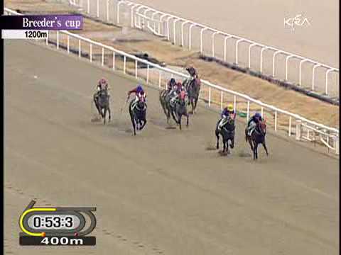 2009 Breeder's Cup - Night Moves