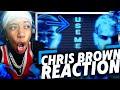 Chris Brown Bow Wow USE ME REACTION