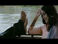Koottimuttiya Kannu Chollanu Pullippulikalum Aattinkuttiyum