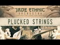 Video 7: Walkthrough Video 5 : Plucked Strings