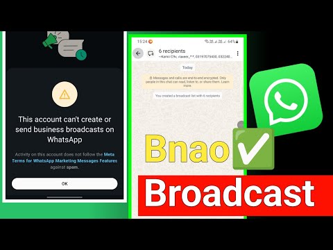 HB-CODEXSO and insights Fix 