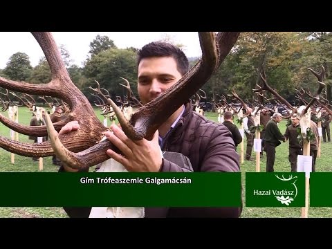 HAZAI VADÁSZ TV Magazin – 2015. november 22-i adás