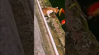 Download lagu 6 November 2025 mp3 Download lagu 6 November 2025 mp3