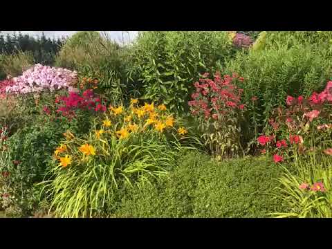 3 kasvukohta: kuidas jaotuvad aias kasvukohad valgustingimuste järgi