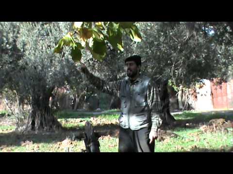 استهداف سرية أحفاد الغوطة بقذائف الهاون إدارة المركبات في ريف دمشق