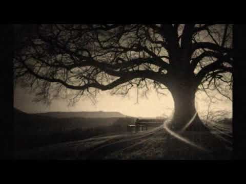 Manhattan Rhythm Kings- Happy Feet