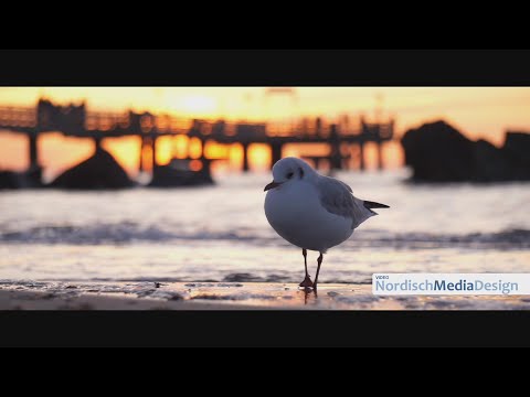 Ostseebad Wustrow, Sonnenuntergang an der Seebrücke, Sept2020