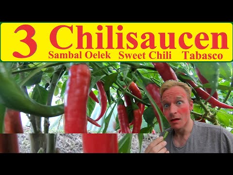 download lagu mp3 mp4 Foxs Sambal Oelek, download lagu Foxs Sambal Oelek gratis, unduh video klip Foxs Sambal Oelek