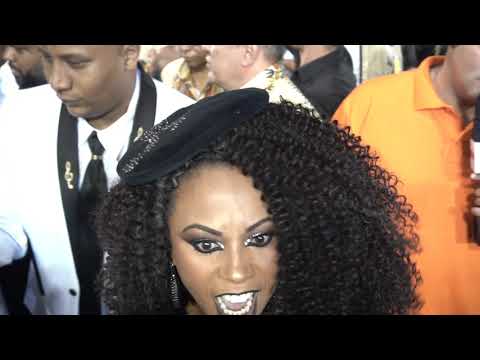 Desfile das Escolas de São Paulo 2019 - 11 Vai-Vai (www.tamborins.com.br)