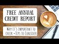 How To Get Your Free Annual Credit Report Understanding The Process 6 Tips