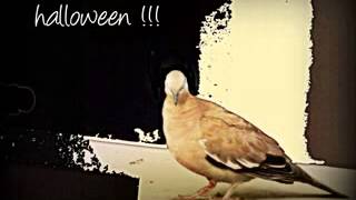 Erik Satie Gnossienne No. 3