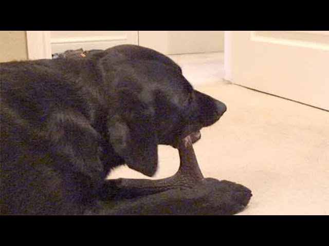 YouTube video preview