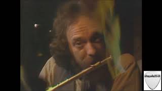 Jethro Tull- Moths (1978)