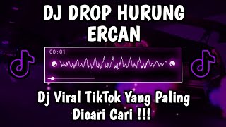 Download lagu DJ DROP HURUNG ERCAN [SLOWED   REVERB] | DROP HURUNG ERCAN VIRAL TIKTOK YANG KALIAN CARI! mp3