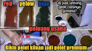 Download lagu pakan ikan Channa tutorial bikin pelet premium blue red yelow bahan dari pelet kiloan pf1000 mp3
